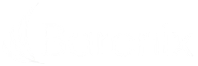 Baronix